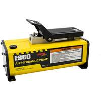 Hydraulic Pumps