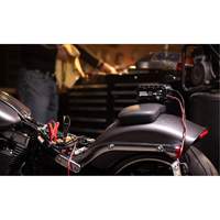 Chargeur de batterie 10 A Genius 10 Trail Hammer and Bolt