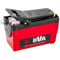 Pompe &agrave; air &agrave; une vitesse avec r&eacute;servoir de 122,1 po³ Trail Hammer and Bolt