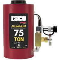 Heavy-Duty Hydraulic Cylinder, 6" Stroke, 75 Ton(s) Capacity, 10000 PSI Trail Hammer and Bolt