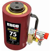 Heavy-Duty Hydraulic Cylinder, 6" Stroke, 75 Ton(s) Capacity, 10000 PSI Trail Hammer and Bolt