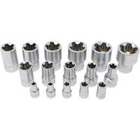 5-Point EPR Torx Socket Set, 16 Pieces, 1/4"/3/8"/1/2" Drive Size Trail Hammer and Bolt