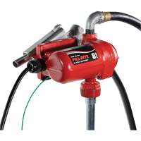 12V DC Fuel Transfer Pump with Nozzle Trail Hammer and Bolt