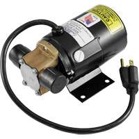 Low Profile Truck Drain with Electric Pump Trail Hammer and Bolt