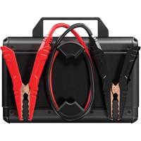 Survolteur V4000 HD 12 V/24 V 4000 A Trail Hammer and Bolt