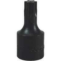 Embout Torx&reg; T-50 Trail Hammer and Bolt