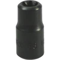 Douille Torx&reg; E-8 Trail Hammer and Bolt