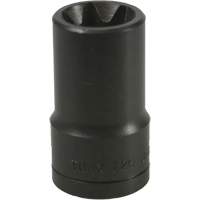 Douille Torx&reg; E-20 Trail Hammer and Bolt