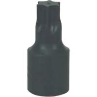 Grand embout Torx&reg; T-70 Trail Hammer and Bolt