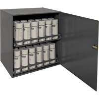 Armoire de rangement pour contenants a&eacute;rosol, Acier, 21-7/8" h x 15-15/16" la x 20-5/16" P, Gris Trail Hammer and Bolt