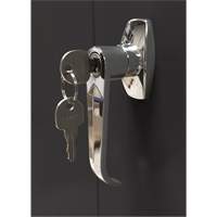 Armoire d'entreposage, Acier, 4 Tablettes, 66" h x 30" la x 15" P, Noir Trail Hammer and Bolt
