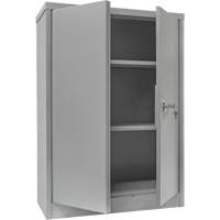 Armoire de rangement &agrave; hauteur de comptoir, Acier, 2 Tablettes, 42" h x 30" la x 15" P, Gris Trail Hammer and Bolt