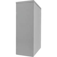 Armoire de rangement &agrave; hauteur de comptoir, Acier, 2 Tablettes, 42" h x 30" la x 15" P, Gris Trail Hammer and Bolt