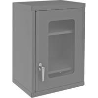 Armoire de rangement murale avec portes transparentes, 26-15/16" h x 18-1/8" la x 13-11/16" p, 2 tablettes, Acier, Gris Trail Hammer and Bolt