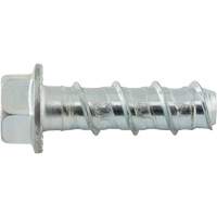 Wedge Bolts, Carbon Steel, 1/2" x 2" Trail Hammer and Bolt