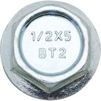 Wedge Bolts, Carbon Steel, 1/2" x 2" Trail Hammer and Bolt