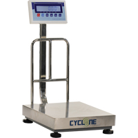 Cyclone 150 Bench and Platform Scale, 300 lbs. / 150 kg Capacity, 15-3/4" L x 19-7/10" W Trail Hammer and Bolt