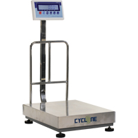 Cyclone 300 Bench and Platform Scale, 600 lbs. / 300 kg Capacity, 17-3/4" L x 23-3/5" W Trail Hammer and Bolt