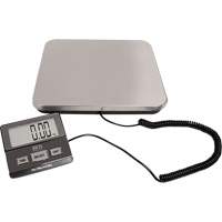 Digital Receiving Scale, 220 lbs. Cap., 1 lbs. Graduations Trail Hammer and Bolt