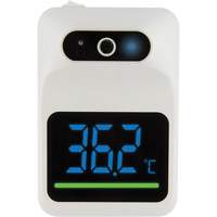 Non Contact Thermometer, Digital Trail Hammer and Bolt