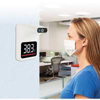 Non Contact Thermometer, Digital Trail Hammer and Bolt