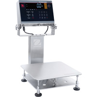 Defender 6000 Washdown Bench Scale, 25 lbs. Capacity, 11-4/5" L x 11-4/5" W Trail Hammer and Bolt
