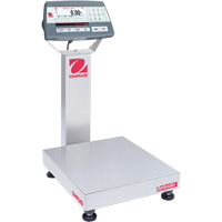 Defender 5000 Multi-Functional Bench Scale, 25  lbs. Capacity, 14" L x 12" W Trail Hammer and Bolt