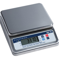 Bench Weighing Scale, 15 Kg Cap., 1 g Graduations Trail Hammer and Bolt