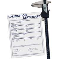 Pied &agrave; coulisse num&eacute;rique avec certificat de traçabilit&eacute;, R&eacute;solution de 0,0005" (0,01 mm), 0" - 12" (0 mm - 300 mm) gamme de mesure Trail Hammer and Bolt