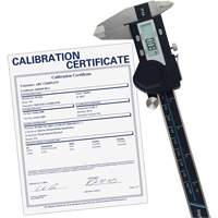Pied &agrave; coulisse num&eacute;rique de 6" (150 mm) avec certificat de traçabilit&eacute; de l'&eacute;talonnage, R&eacute;solution de 0,0005" (0,01 mm), 0" - 6" (0 mm - 150 mm) gamme de mesure Trail Hammer and Bolt