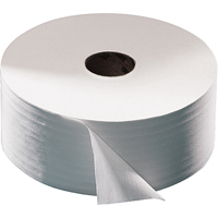 Advanced Toilet Paper, Jumbo Roll, 2 Ply, 751' Length, White Trail Hammer and Bolt