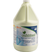 Glass & Multi-Surface Cleaner, 4 L, Jug Trail Hammer and Bolt