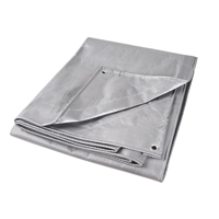 B&acirc;che, Super robuste, Argent, 10' x 8' x 12 mils Trail Hammer and Bolt