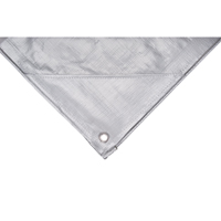 B&acirc;che, Super robuste, Argent, 10' x 8' x 12 mils Trail Hammer and Bolt