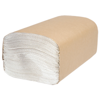 Everest Pro Singlefold Hand Towels, 1 Ply, 10-1/4" L x 9-1/4" W, 250 /Pack Trail Hammer and Bolt