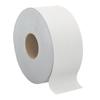 Papier hygi&eacute;nique Pro Select, Rouleau G&eacute;ant, 2 Pli, Longueur 500', Blanc Trail Hammer and Bolt