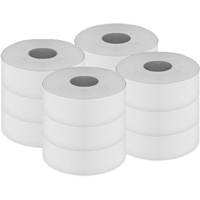 Papier hygi&eacute;nique Pro Select, Rouleau G&eacute;ant, 2 Pli, Longueur 500', Blanc Trail Hammer and Bolt