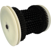 Refill Brush Trail Hammer and Bolt