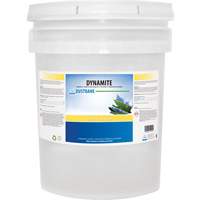 Dynamite Odourless Stripper & Degreaser, 20 L, Pail Trail Hammer and Bolt