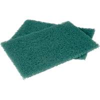 Scotch-Brite Hand Pads, Scrubbing, 6" W x 9" L Trail Hammer and Bolt