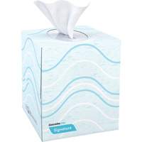 Pro Signature Facial Tissue, 2 Ply, 8" L x 8" W, 90 Sheets/Box Trail Hammer and Bolt