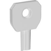 Lock or Not Dispenser Key Trail Hammer and Bolt