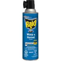 Insecticide contre les gu&ecirc;pes et les frelons Raid, 400 g, &agrave; base de solvant Trail Hammer and Bolt