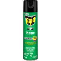 Insecticide pour insectes domestiques Raid, 350 g, &agrave; base de solvant Trail Hammer and Bolt