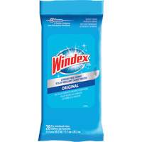 Windex&reg; Glass & Surface Wipes, Packets Trail Hammer and Bolt
