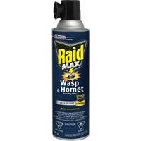 Mousse insecticide contre les gu&ecirc;pes et les frelons Raid Max, 500 g, Canette a&eacute;rosol, &agrave; base de solvant Trail Hammer and Bolt