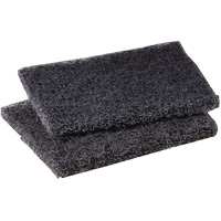 Tampon de polissage pour plaque de cuisson Scotch-Brite, 4" lo x 5" la Trail Hammer and Bolt