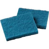 Non-Stick Cookware Cleaning Pad, Scrubbing, 5-1/4" W x 4" L Trail Hammer and Bolt