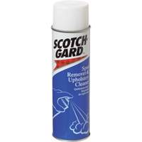 D&eacute;tachant pour tapis et nettoyant pour meubles rembourr&eacute;s, 17 oz, Canette a&eacute;rosol Trail Hammer and Bolt