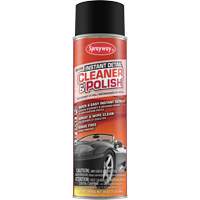 Instant Detailer Cleaner & Polish Trail Hammer and Bolt